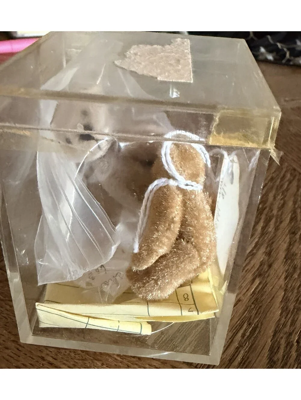 Little Gem Teddy Bear Two Of Them Vintage New